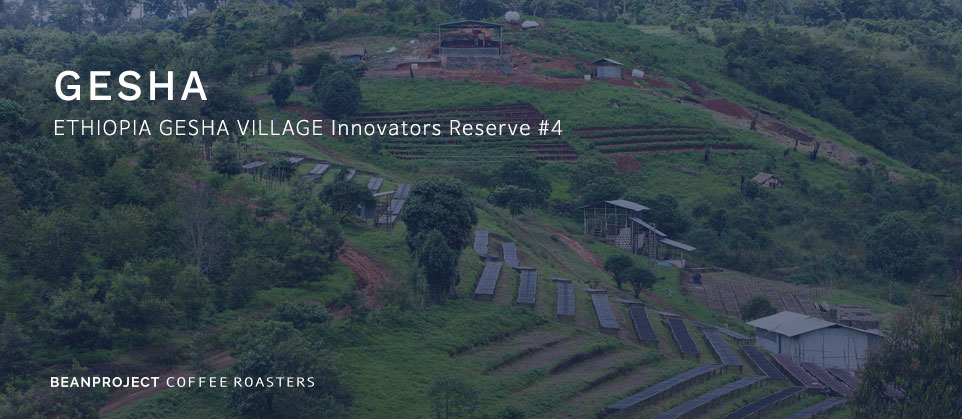 Gesha Village Innovators Reserve #4